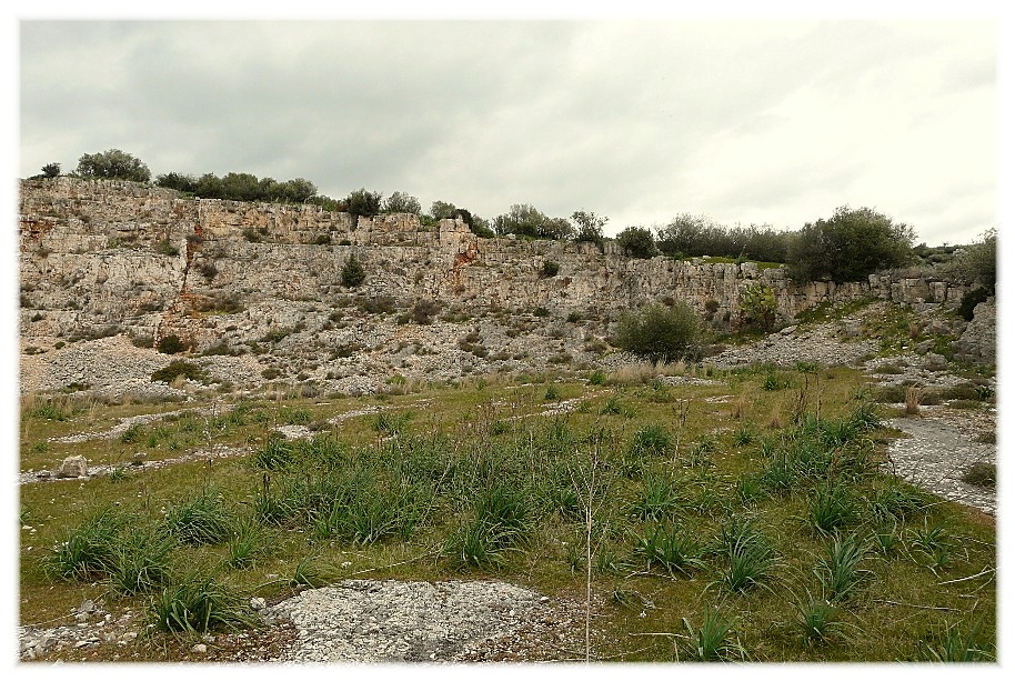 Le Steppe del Gargano